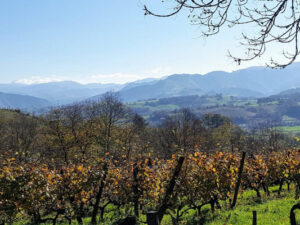 Ilarria Rouge methode naturelle 2021 Domaine Ilarria Fine Wine buy online Ireland